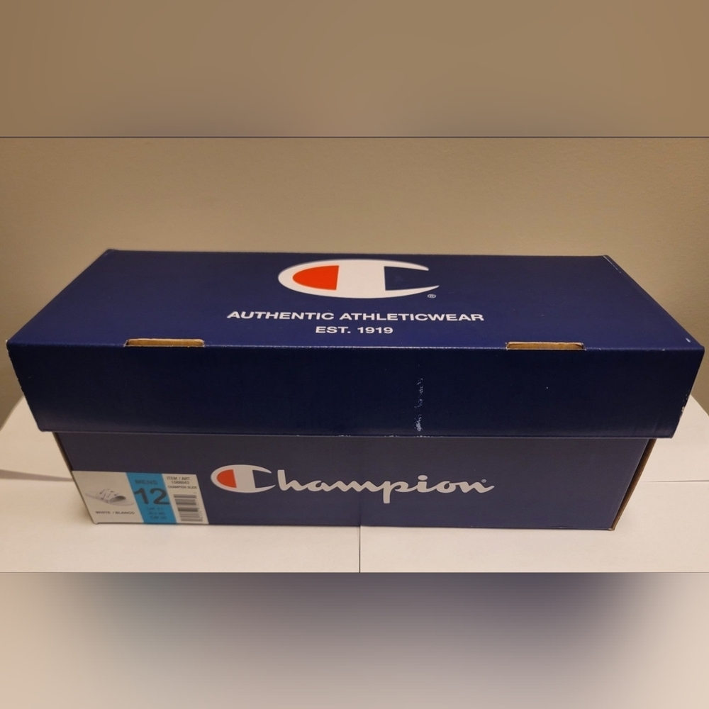 Champions Slides - Picture 6 of 6